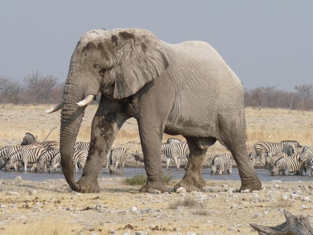 Namibia